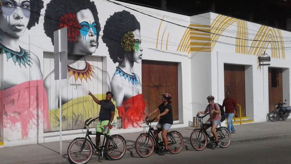Bike Tour - Image 3